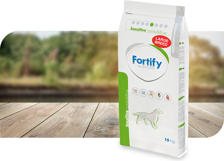 Fortify Sensitive Lamb & Rice Large Breed