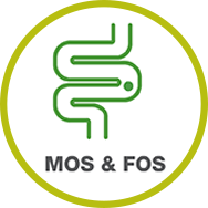 MOS & FOS