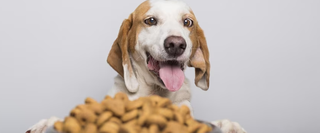 Myths and facts about dog and cat pellets - What is the real meat content of pellets?