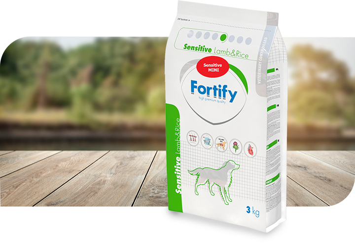 Fortify Sensitive Lamb & Rice Mini