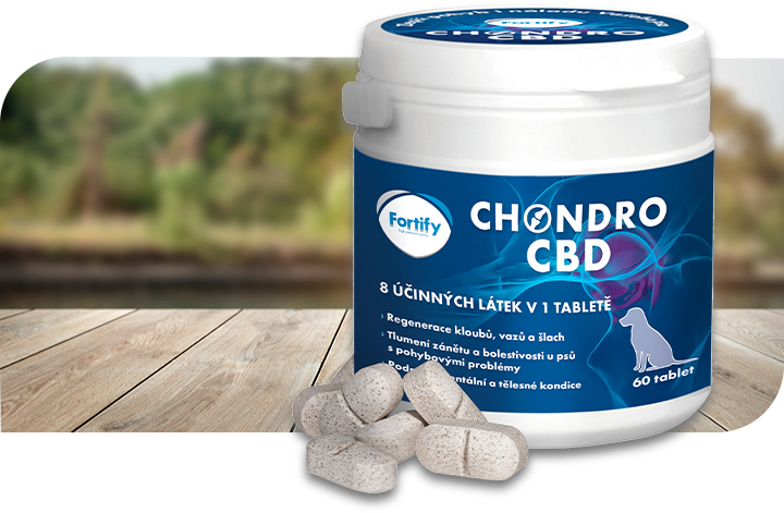 Fortify Chondro CBD