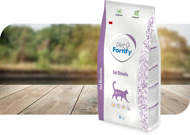 Fortify Diet Cat Struvite