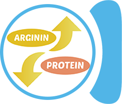 Vysoký obsah argininnu & nízký obsah proteinů