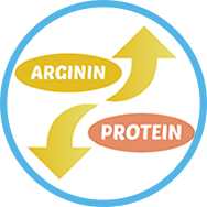 Vysoký obsah argininu & nízký obsah proteinů