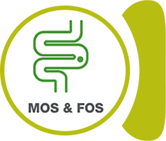 MOS & FOS