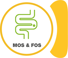 MOS & FOS