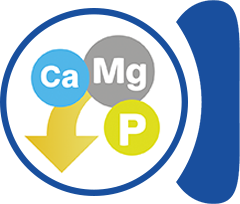 Decreased Ca, P, Mg content