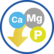 Decreased Ca, P, Mg content