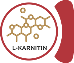 L-Carnitine