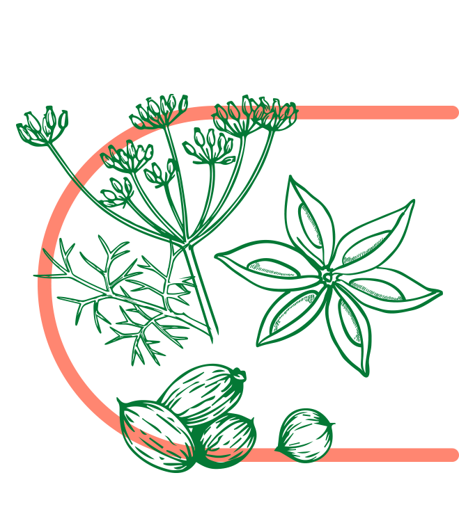 Plod fenyklu obecného (Foeniculum vulgare), bedrníku anýzu  ( Pimpinella anisum) a koriandru setého (Coriandrum sativum)