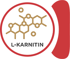 L-Carnitine