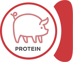 Pork protein