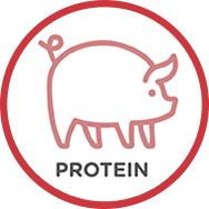 Pork protein