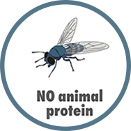Insect protein